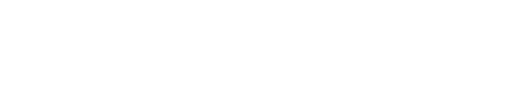 valor logo – white